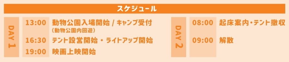 スケジュール